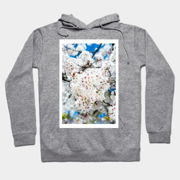 Sakura Bloom Hoodie by Anxolr Artworks